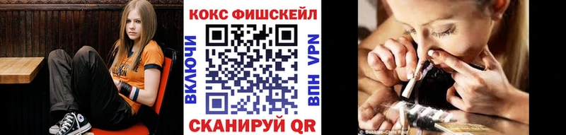 где можно купить наркотик  Зима  Cocaine Эквадор 