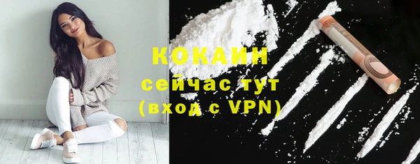 ешки Арсеньев