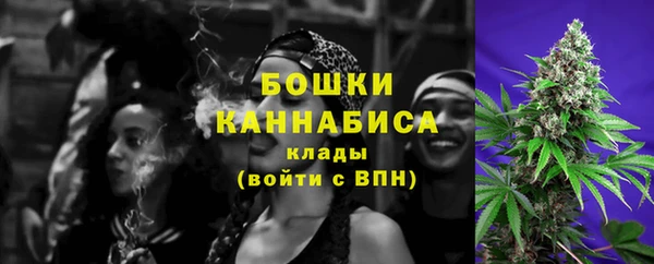ешки Арсеньев