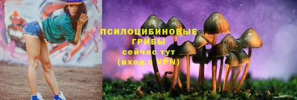 2c-b Сафоново