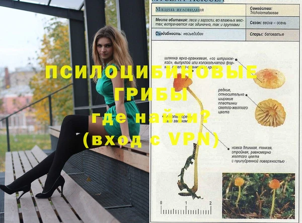 PSILOCYBIN Баксан