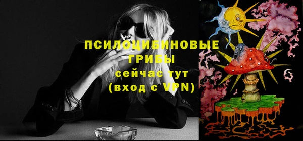 ешки Арсеньев