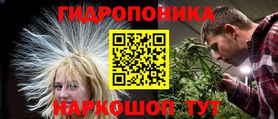 ALPHA-PVP Кандалакша