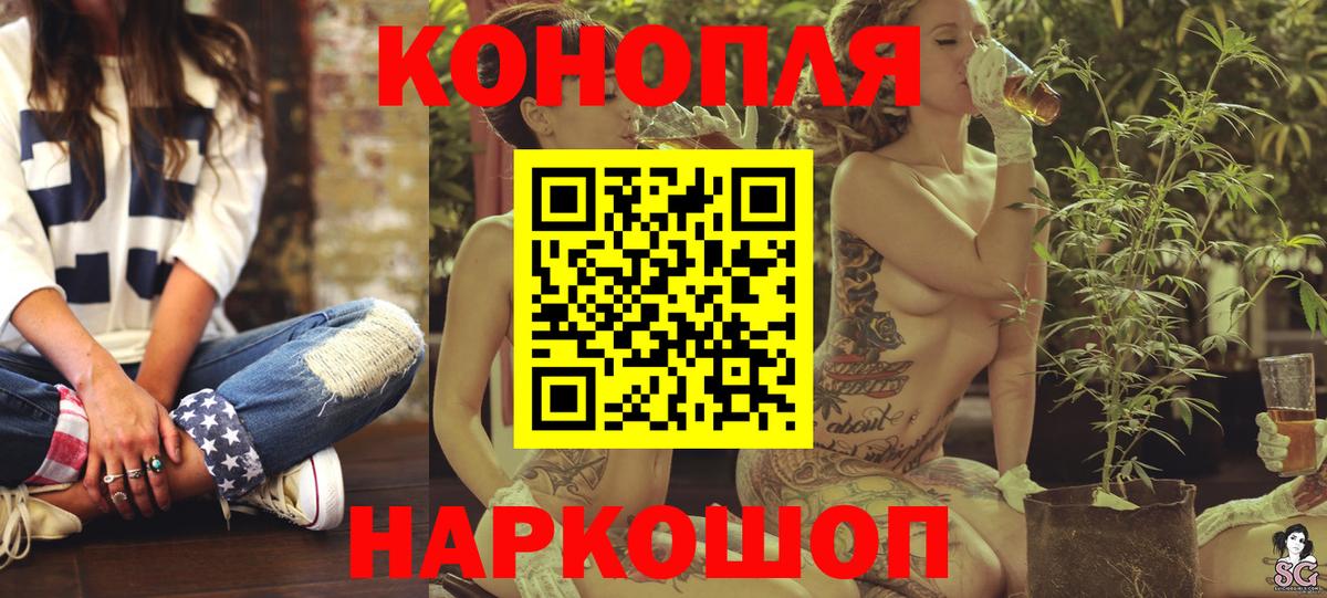 Конопля индика  Марихуана OG Kush  Зима  Канабис марихуана  Вход с VPN 